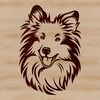 Vector Graphic Dog Head Design Close-up depiction of a Shetland Sheepdog's face, ideal for use in digital graphics, illustrations, or as clip art.