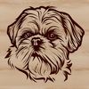 A vector illustration of a small Shih Tzu dog's head, suitable for digital use in various formats such as SVG.