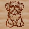 Small Shih Tzu Portrait Close-up illustration of a small sitting Shih Tzu dog with a distinctive facial expression.