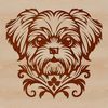Stylized Shih Tzu Portrait Vector Graphic A stylized illustration of a Shih Tzu dog's head, created as a vector graphic.
