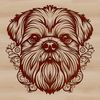 Portrait of a Shih Tzu dog's head with distinctive features.