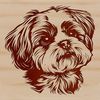 Shih Tzu Breed Vector Graphic A breed-specific illustration of a Shih Tzu dog's head, suitable for vector design and cutting machine applications.