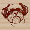 Close-up illustration of a Shih Tzu's head, vector dog portrait.