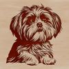 Digital Shih Tzu Portrait Sitting Up A digital representation of a Shih Tzu animal sitting on its hind legs.