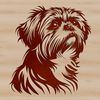 Free Vector Shih Tzu Illustration A small breed dog with a flat face and long coat, ideal as a template for custom SVG designs.