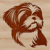 Shih Tzu Breed Profile Close-Up Drawing Close-up illustration of a Shih Tzu's head, featuring the dog breed's distinctive features.