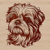 Shih Tzu Breed Illustration Vector Art A vector illustration of a Shih Tzu dog breed, ideal for use in graphic design projects.