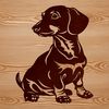 Dog Breed Illustration in Simple Lines A small breed dog with a long body and short legs sits on its hindquarters, depicted in simple vector lines.