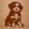 A small-sized Shih Tzu dog sitting on a surface.