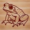 A vector graphic representation of a wild animal, specifically a toad, suitable for various designs.