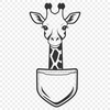 A detailed illustration of a tall, spotted giraffe, suitable for vector art projects.