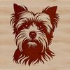 Vector Dog Portrait with Personality Illustration of a Yorkshire Terrier dog's head in vector format.