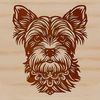 Vector illustration of a small breed dog's head, representative of a popular pet animal, suitable for digital design.