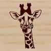 A large, even-toed ungulate with long neck and legs, native to Africa.