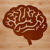 Vector Graphic Brain Design Illustrative human brain anatomy in vector format.