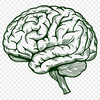 Artistic Brain Vector Image - Free PNG