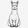 South American Camelid Close-up Illustration Close-up illustration of a South American camelid animal with long neck and ears.