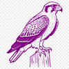 Bird of Prey SVG Design Free Download Vector graphic design of a bird of prey, showcasing the characteristics of a falcon.