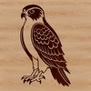 Falcon SVG Cut File Template A realistic illustration of a falcon in flight, suitable for various uses such as commercial or personal projects.