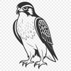 Beautiful Falcon Silhouette Illustration A detailed silhouette vector design of a falcon bird, suitable for cutting machines and laser engraving.
