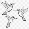 Colorful Hummingbird Vector Design A vector design of a hummingbird perched on a flower.
