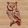 Whimsical bird with piercing gaze Realistic illustration of a perched owl with sharp feathers and piercing gaze.