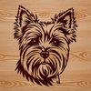 Yorkshire Terrier head close-up design Close-up illustration of a Yorkshire terrier's face, suitable for digital art projects.