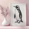 A small, flightless bird with black and white feathers standing on ice.