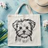 Stunning Morkie - PDF Format