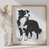 Australian Shepherd Image In SVG, PNG, PDF And DXF File Formats