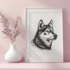 Creative Husky Drawing