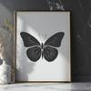 Free Butterfly Files For Digital Download In DXF Format