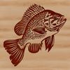 Close-up Fish Design with Scales and Fins A close-up illustration of a crappie fish with scales and fins.