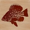 A colorful illustration of a crappie fish with vibrant scales and fins.