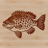 A small panfish with greenish-yellow fins and bright blue spots.