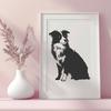 Sitting Australian Shepherd DXF