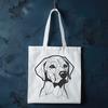 Beautiful Labrador Retriever PNG - Free Commercial Use Download