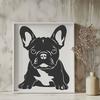 Stunning French Bulldog - Pet PNG