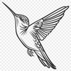 Unique Hummingbird Vector Image In PDF For Free Download