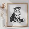 Beautiful Australian Shepherd PDF