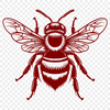 Beautiful Bee Vector Craft File