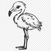 Creative Bird Illustration In PDF For Free Download