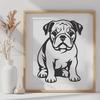 Free Bulldog Files For Digital Download In SVG Format