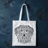 Unique Havanese Artwork In PNG For Free Download