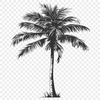 Free Palm Tree In DXF - Free Digital Download