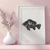 Free Unique Crappie Digital Art