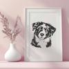 Stunning Australian Shepherd Vector Art