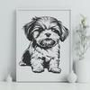 Shih Tzu In SVGs - Free Commercial Use License