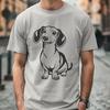 Beautiful Sitting Dachshund - PNG