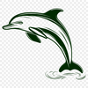 Unique Dolphin In PNG Format - Free Download